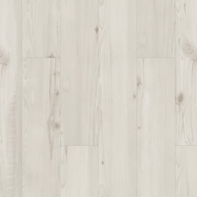 01040-2019V - Jackson Pine