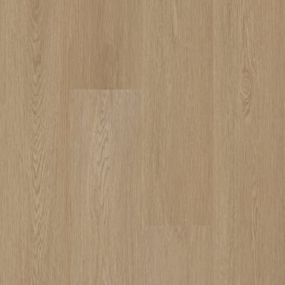 02107-3381V - Nomadic Brown