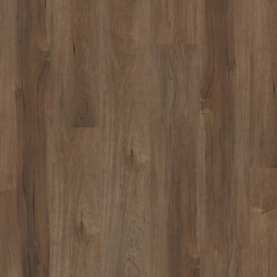 3800V_07412 - Tannin Maple