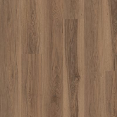 3800V_07413 - Sparrow Hickory