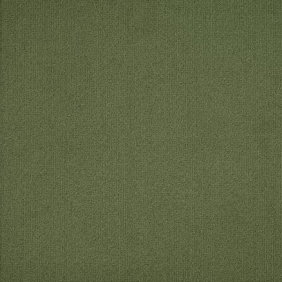54462_62370 - Cactus