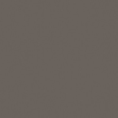 54462_62557 - Dolphin