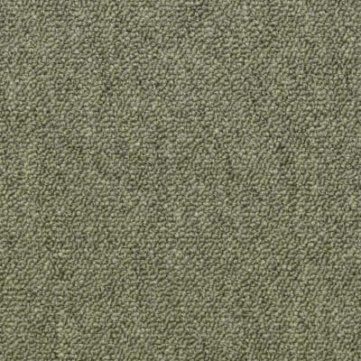 54480_80301 - Distinguished