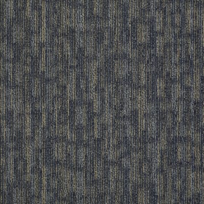 54491_91495 - Jolted