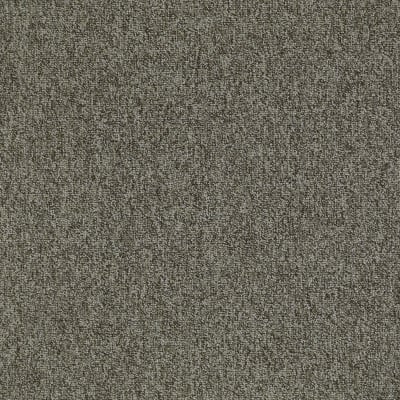 54594_00505 - Cluster