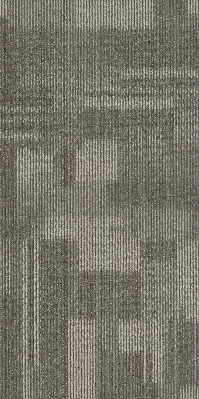 54842_00515 - Showy