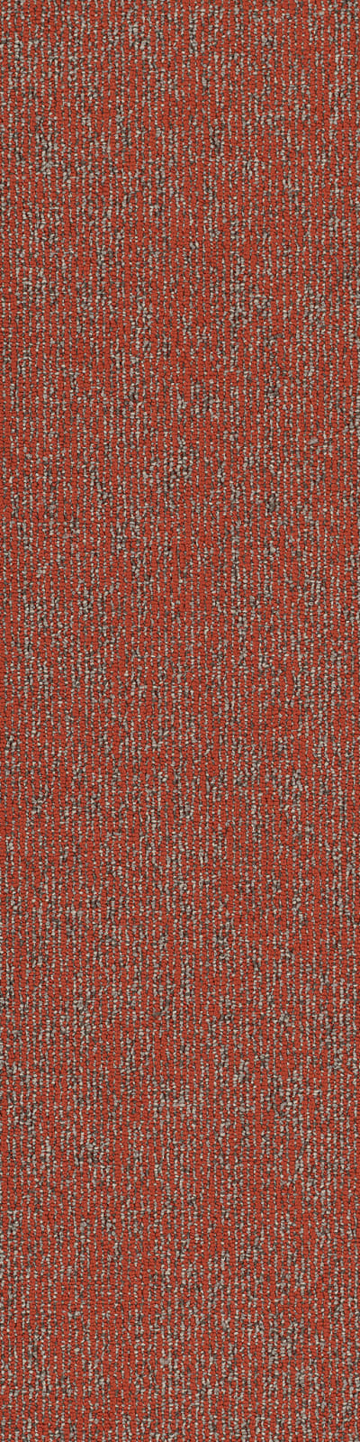 54847_00816 - Miombo