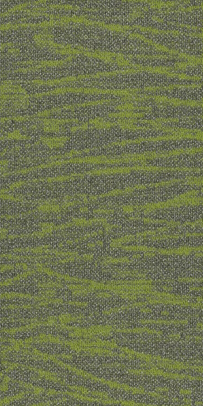 54849_00315 - Taiga
