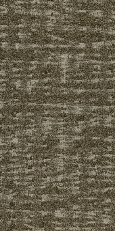 54849_00710 - Salt Flat