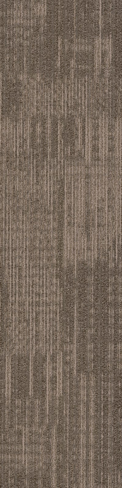 54874_00501 - Diapason