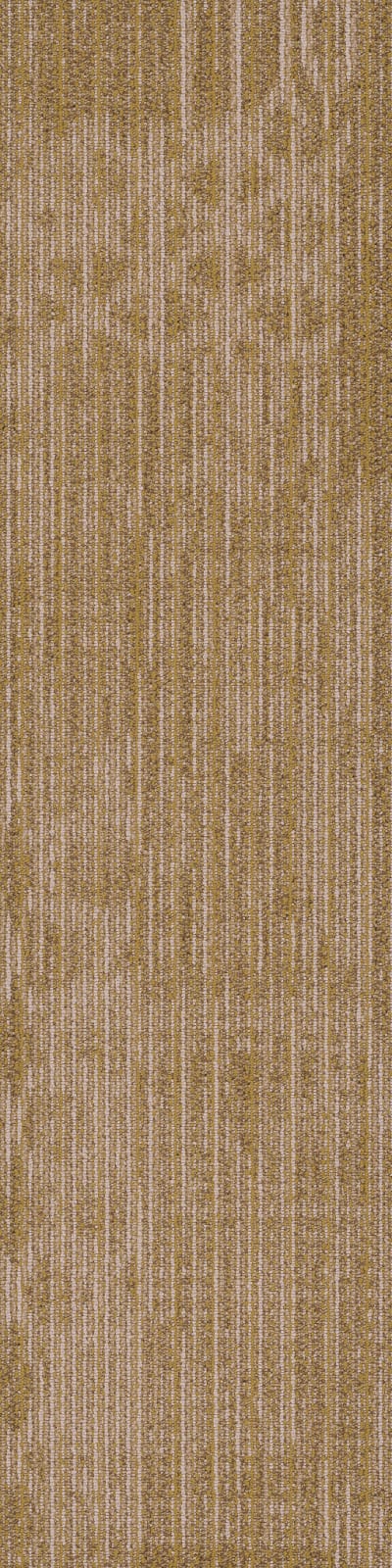54875_00200 - Cadence
