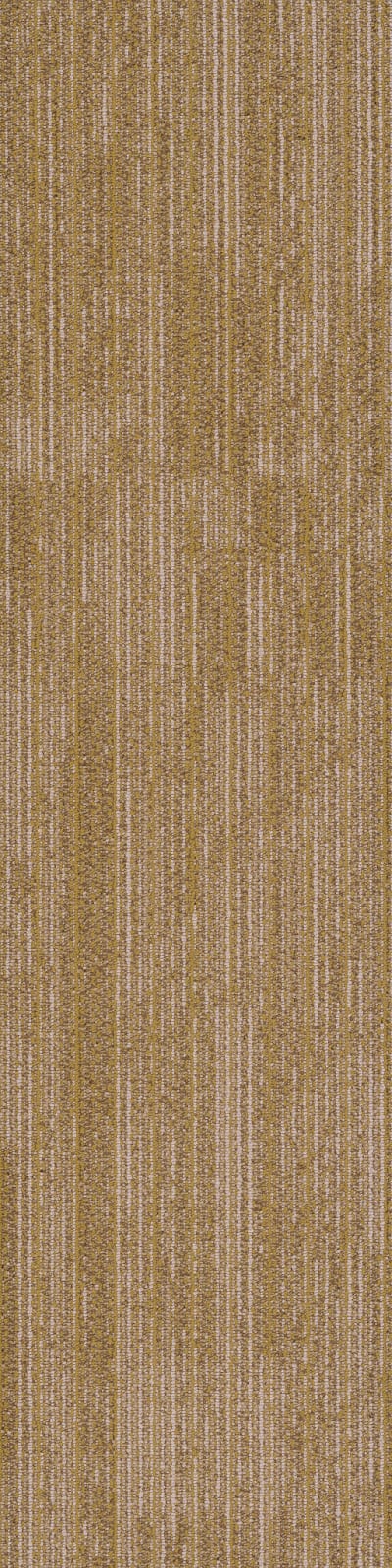 54876_00200 - Cadence