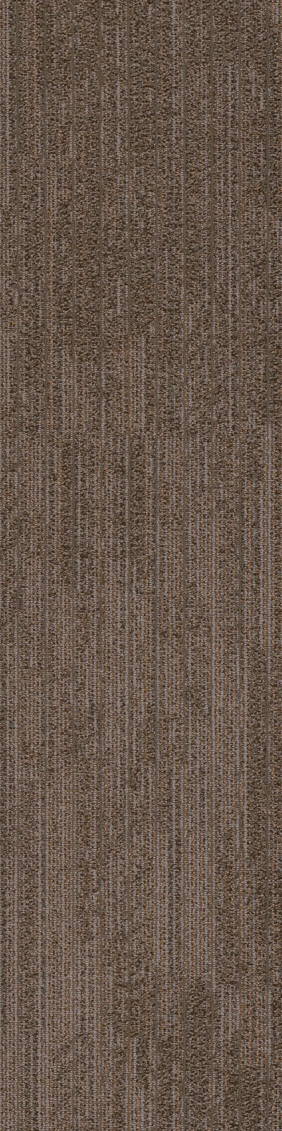 54876_00500 - Chime