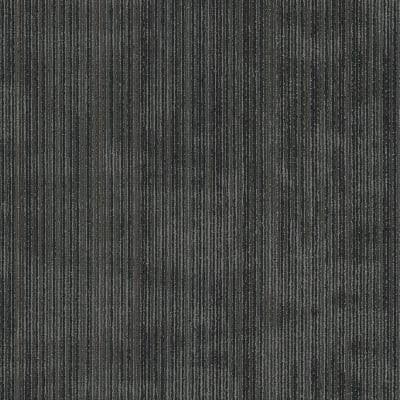 54897_00504 - Kobra