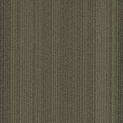54924_24710 - Feasible