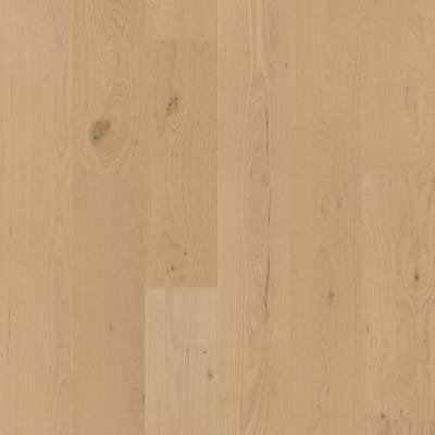 SW789-01175 - Sun Glow
