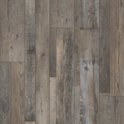 VV012-00765 - Aden Oak
