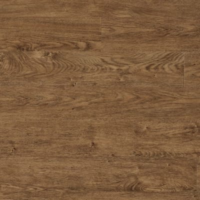 VV023-00205 - Northwoods Oak