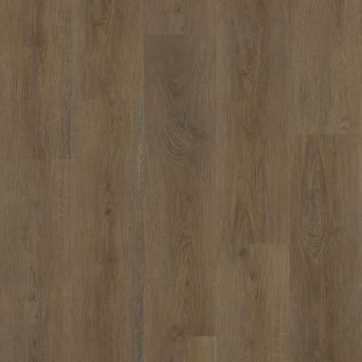 VV024-05076 - Brixton Oak