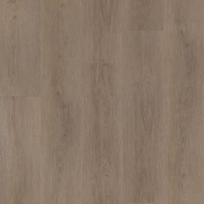 VV024-08013 - Foxbury Oak