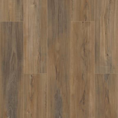 VV492-02001 - Edinburgh Oak