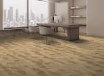 RERA210-WP - small 