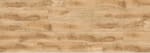 RERA210-WP - small 1