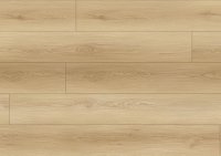 RENF8020 - Cascade Coral