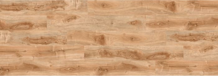 REGA220-WP - Golden Apple