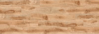 REGA220-WP - Golden Apple