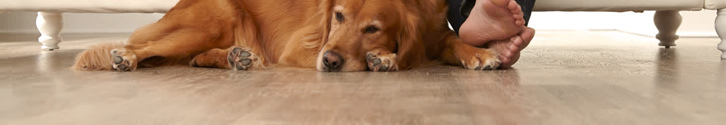 Flooring Education Flooring Education