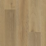 WO901-F1645 - small 1