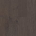 SW593-01008 - small 2