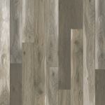 TSV21-981 - small 1