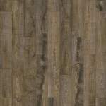 PT008-899 - small 1