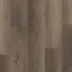 P2237-M5613 - small 1
