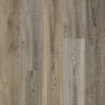 ECS21-921 - small 1