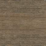 VEX-103099 Ignea - small 2