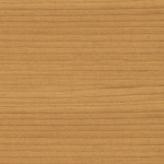 VEX-103992 Norwegian Maple - small 2