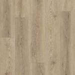 02102_2001V - small 1