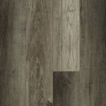 05054_2042V - small 1
