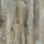 05010_SL102 - small 1