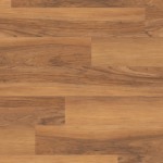 SCB44 - small 1