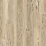 00297_5M305 - small 1