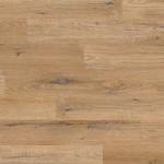 SCB-KP145-6 - small 1