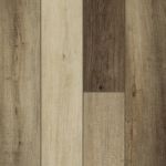 00249_2042V - small 1