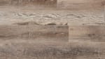 VV569_16486 - small 1