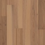 SW715_01092 - small 1