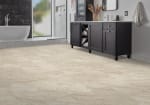 SDS07-221 - small 