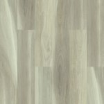 00169_2024V - small 1